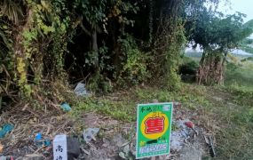 榮總東側區段徵收內農地