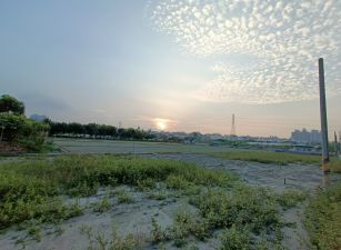 大寮低總價超值方正農地「都內農地」