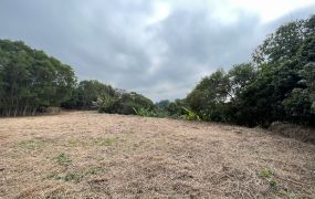 竹崎皇德寺旁農地3 09-113 052337228