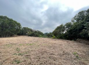 竹崎皇德寺旁農地3 09-113 052337228