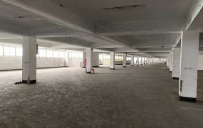 觀音工業區內RC廠房