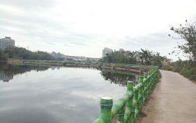 龍慈路小農地