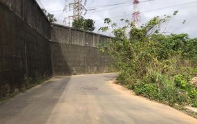 全新挑高鋼構廠房