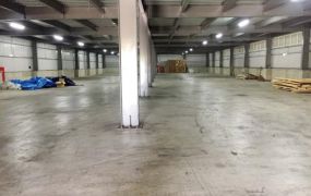 新屋近61倉庫廠房出租/A棟29