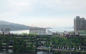 獨家專售。達麗世界灣。極致之灣大邸