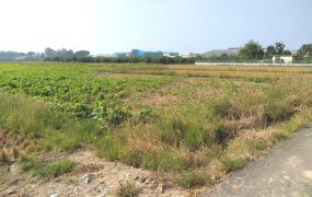 ☆官田二鎮市地待重劃土地