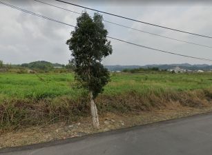 燕巢臥牛巷農地