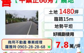【平鎮正66快速路旁】臨路15米地勢平坦農地