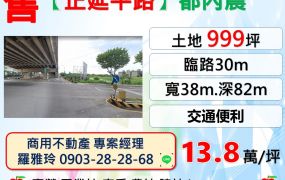 【正延平路】正30米大路邊大面寬都內農地(超稀有釋出)