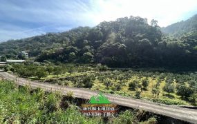 芎林王爺坑平坦橘園