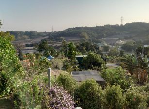 大樹休閒景觀美農地~超心動價~心血移轉有緣人