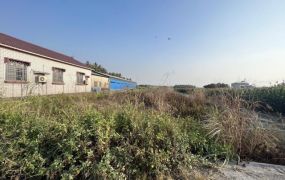 屏東海豐美農地