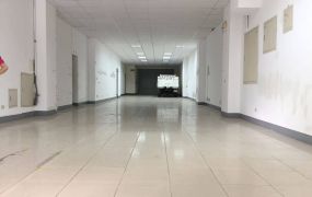 中壢大路邊店面廠房可分租