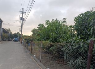 大社廠房，果菜市場旁方正都內農地廠房