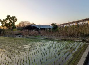 彰化東區國聖路農舍廠房0987-092686蔡逸蓁