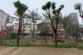 平鎮高中 旁【店面+車位】釋出~