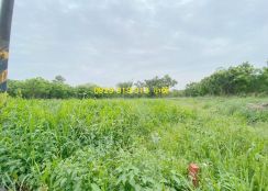 ★歸仁沙崙方正增值農地