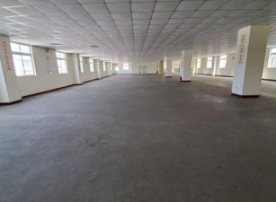 平鎮66氣派RC廠房26