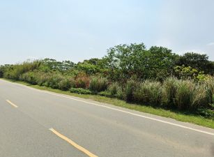 桃園『露營開發｜咖啡廳｜民宿｜無敵夜景｜清麗洗鍊農地』