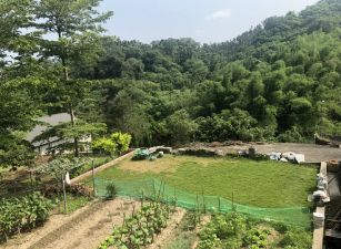 南投市12米路邊農地+建地