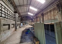 近家樂福甲建廠房0987-092686蔡逸蓁