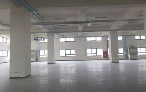 樹林全新挑高廠辦（可分租）
