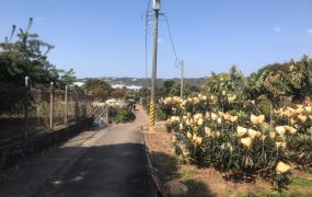 新社近公車學校平地