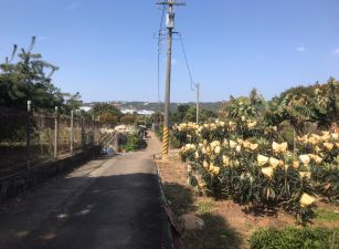 新社近公車學校平地