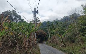 一手地海拔750-820水里鄉下城段完整農路農地台中買屋賣房,土地王劉志忠