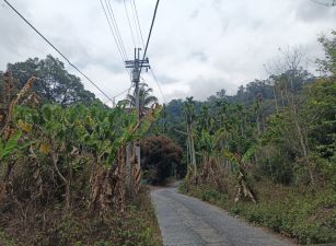 一手地海拔750-820水里鄉下城段完整農路農地台中買屋賣房,土地王劉志忠