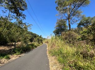 大社雙面路大坪數農地