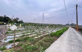 灣橋農地09-128 052337228