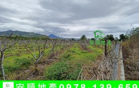 台東農地-豐田四分農地