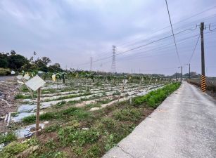 灣橋農地09-128 052337228