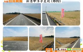 新港中洋子農地(專約獨賣) 嘉義建地農(台灣阿魯米)