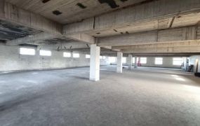 幼獅工業區分租工業廠房26