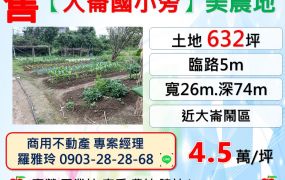 中壢【大崙國小旁】近大崙鬧區大面寬超值美農地