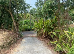 中埔柚子宅農地01-002 052337228