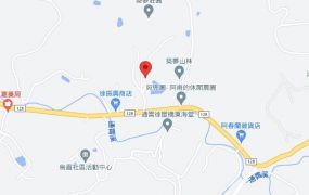 通霄交流道開心農場農地-037-592666