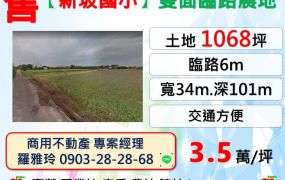 觀音【新坡國小5分鐘】雙面臨路交通方便美田