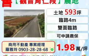 【觀音育仁段】雙面臨路好運用農地(可申請農保)
