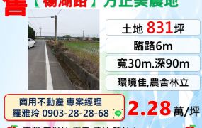 楊梅【楊湖路】臨路6米環境佳學區旁方正美農地