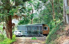 新竹縣北埔鄉南埔生態村綠森林休閒屋無保存登記265坪林業用地售價468萬