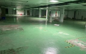 租龜山工業區廠房55