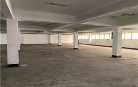 正觀音工業區RC廠房