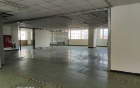 五股工業區分租廠辦(房)42