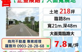 平鎮區【正金陵路】218坪大面寬臨路8米農地