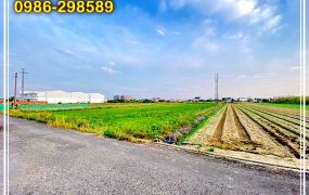 新市2.8分面寬美農地【#新市區農地】