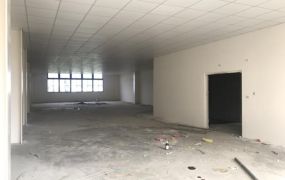 林口交流道旁挑高工業廠房46