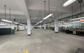 租大園近桃園機場RC廠房55